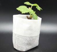 無紡布種植袋釘子多少錢一個？它的優(yōu)缺點是什