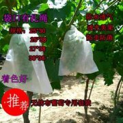 無(wú)紡布葡萄套袋_透氣嗎?