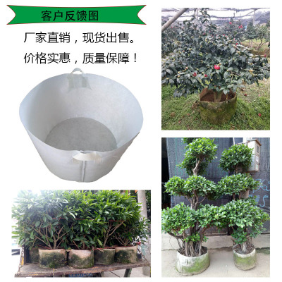 無紡布育苗袋