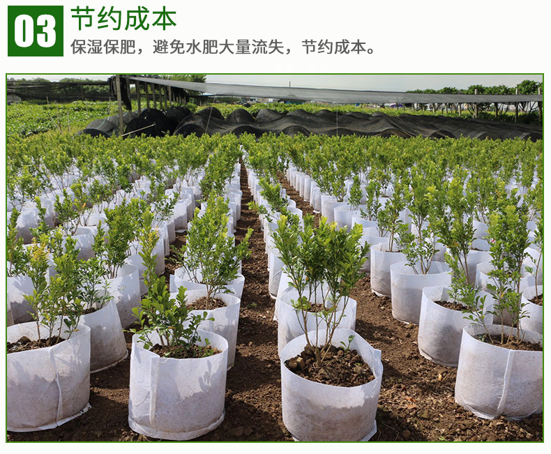 控根器_06